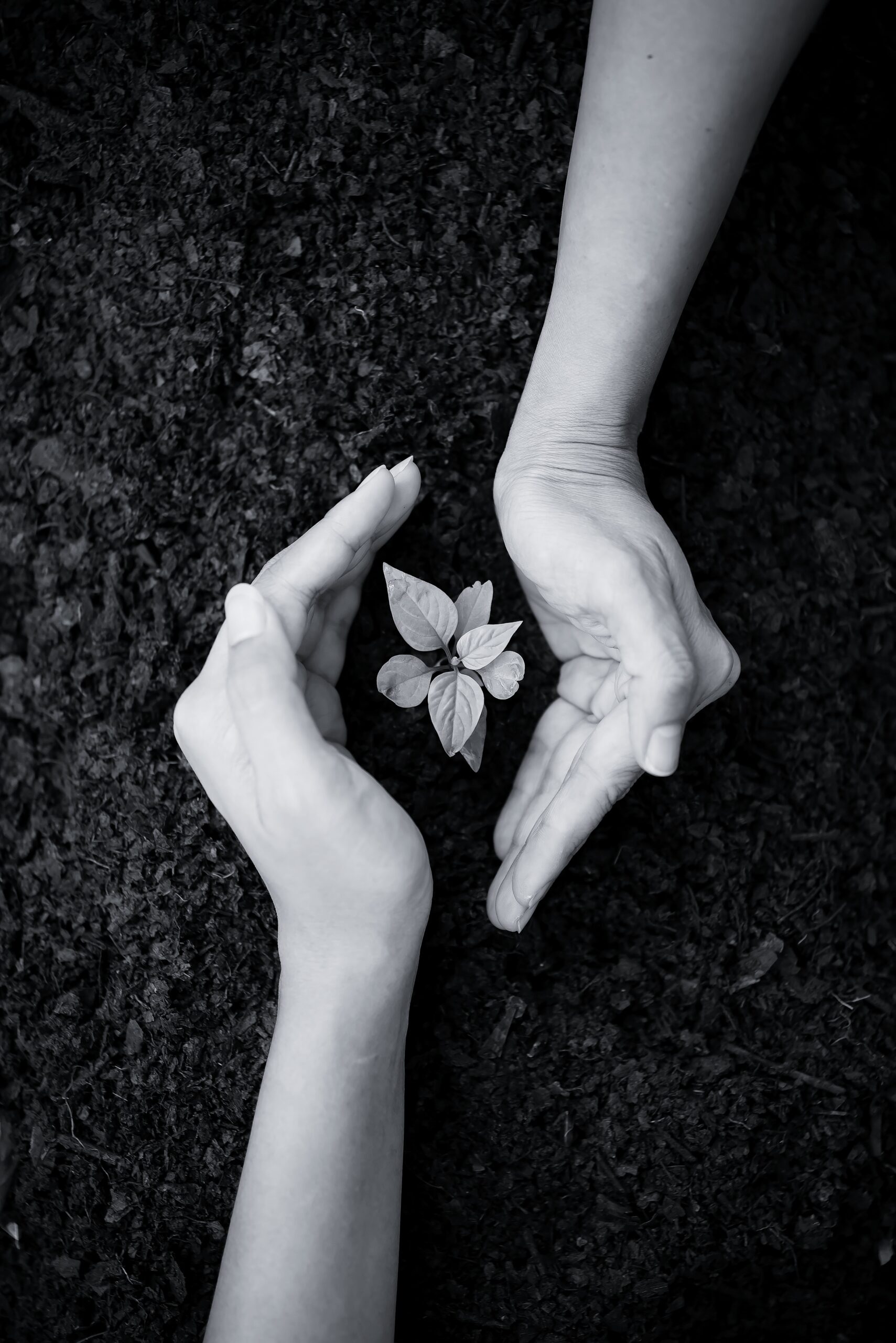 Sustainability & Ethics – store.byteboxglobal.com